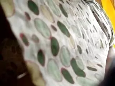 جشن خانه سال ویدیو کلیپ سکس